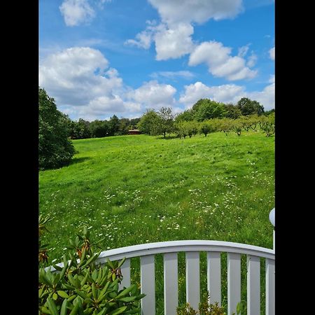 Neu Ferienwohnung Odenwald Rimhorn Exterior foto