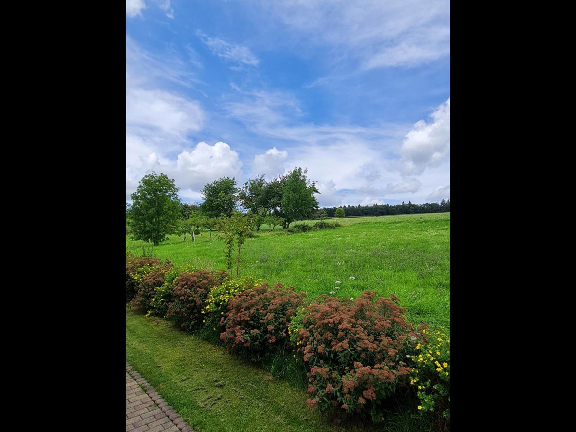 Neu Ferienwohnung Odenwald Rimhorn Exterior foto