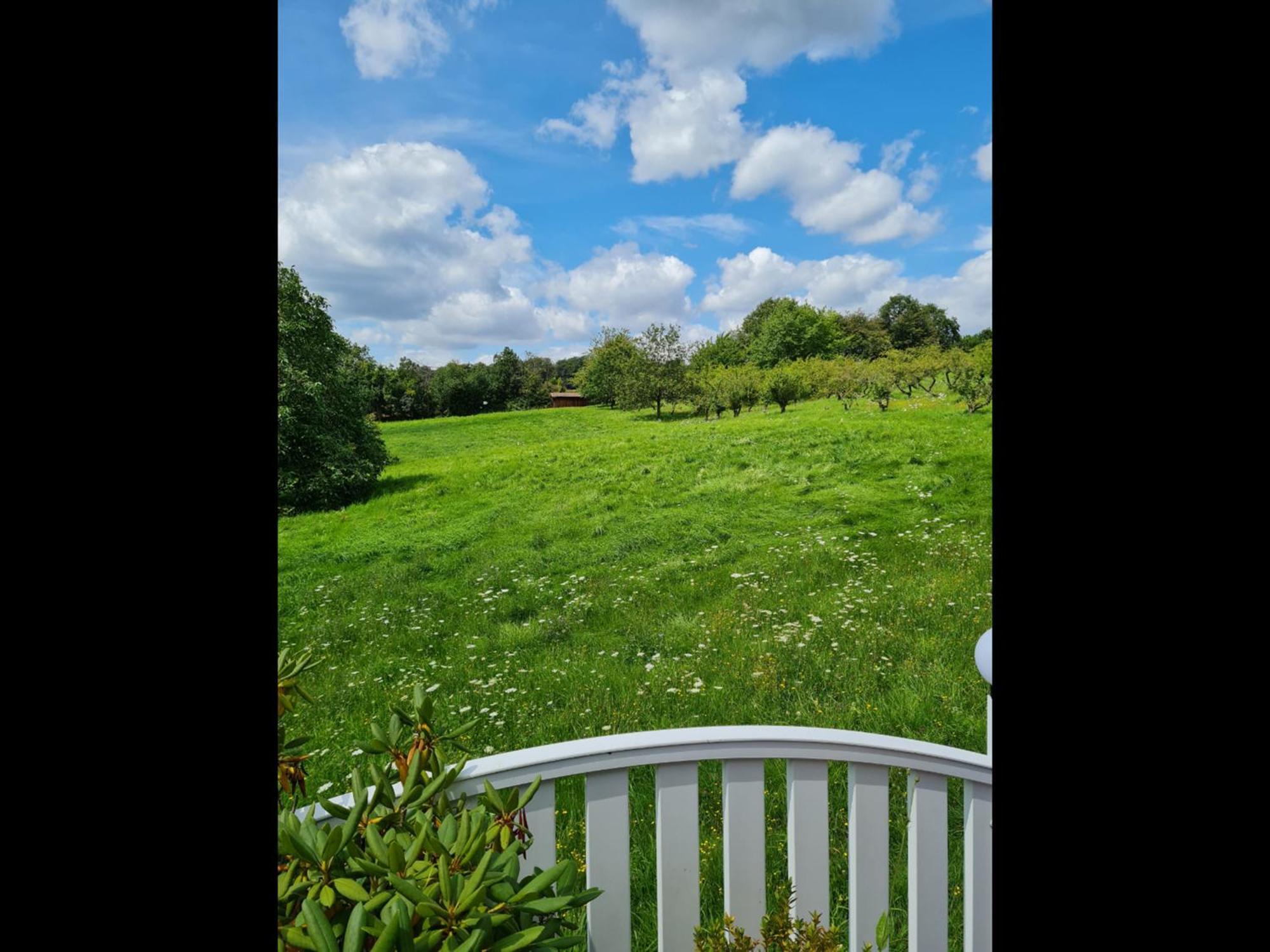 Neu Ferienwohnung Odenwald Rimhorn Exterior foto